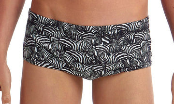 FUNKY TRUNK ZEBRA CROSSING